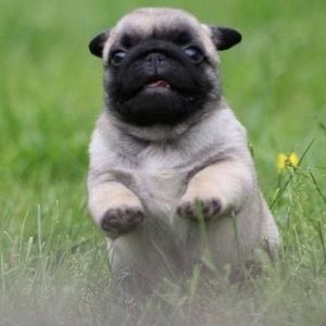 Meet your Posher, Yuli